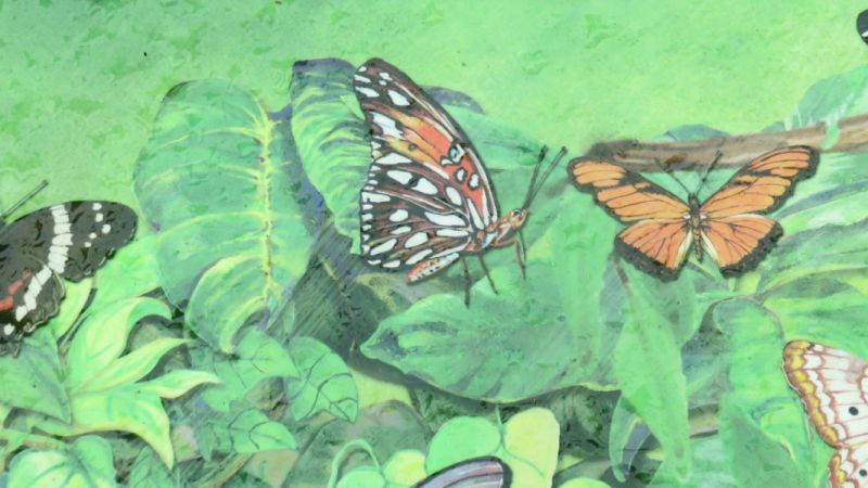 Butterflies of Mexico and the Day of the&nbsp;Dead
